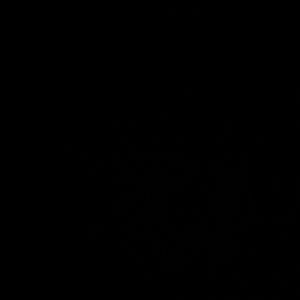 Meet your Posher, Lily